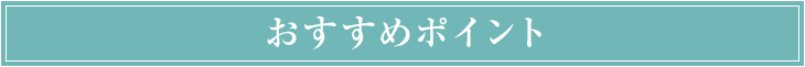 おすすめポイント