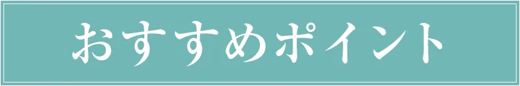 おすすめポイント